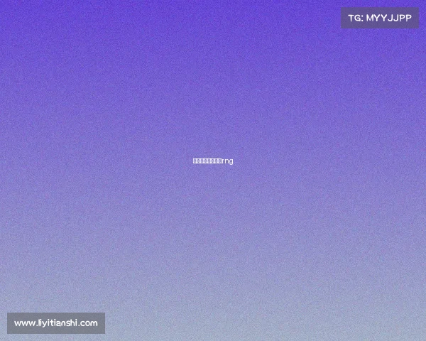 全国电子竞技大赛rng